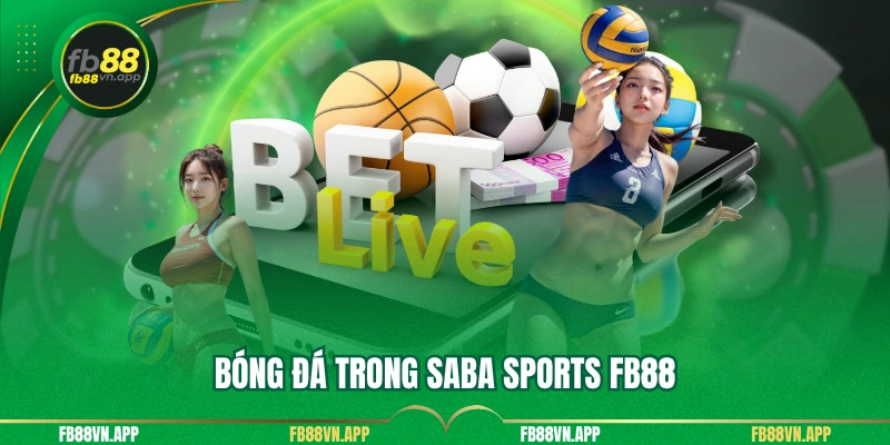 Saba Sports Fb88 - Điểm Cá Cược Uy Tín Hàng Đầu Tại Nhà Cái 3 Bóng đá trong saba sports fb88